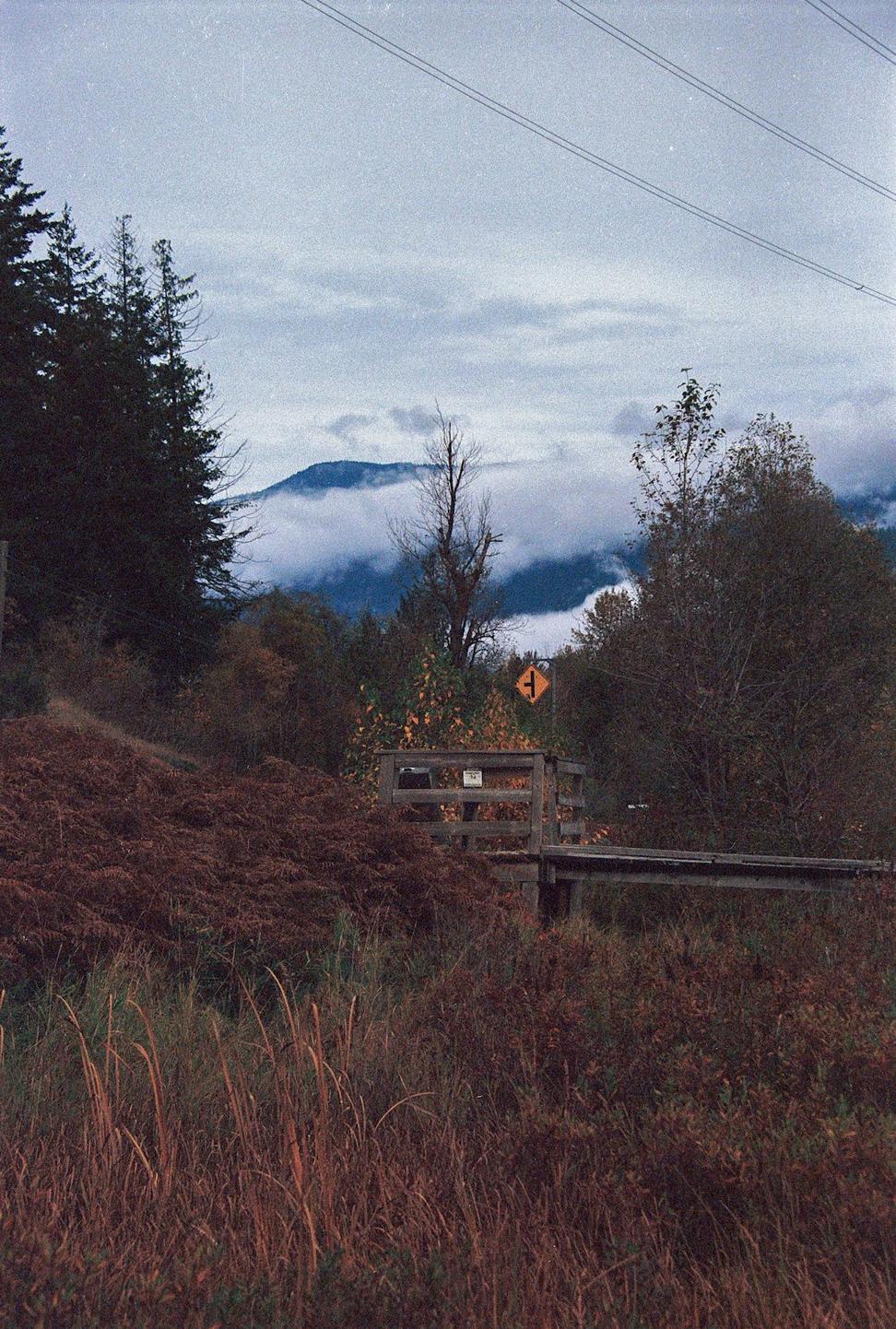 Site before